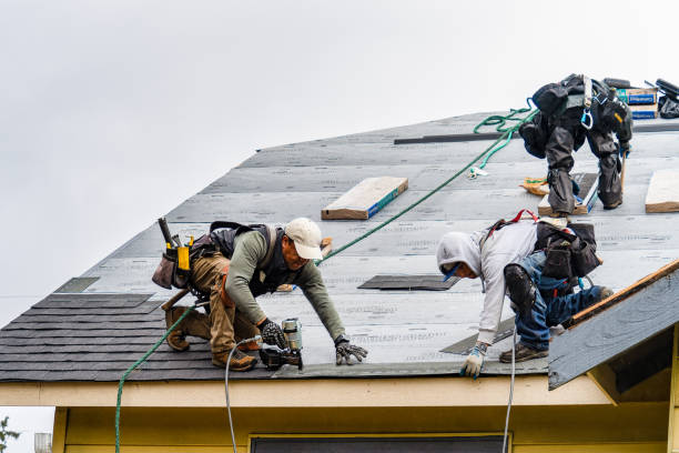 Professional Storm Damage Roof Repair technician working in Harvard, NE